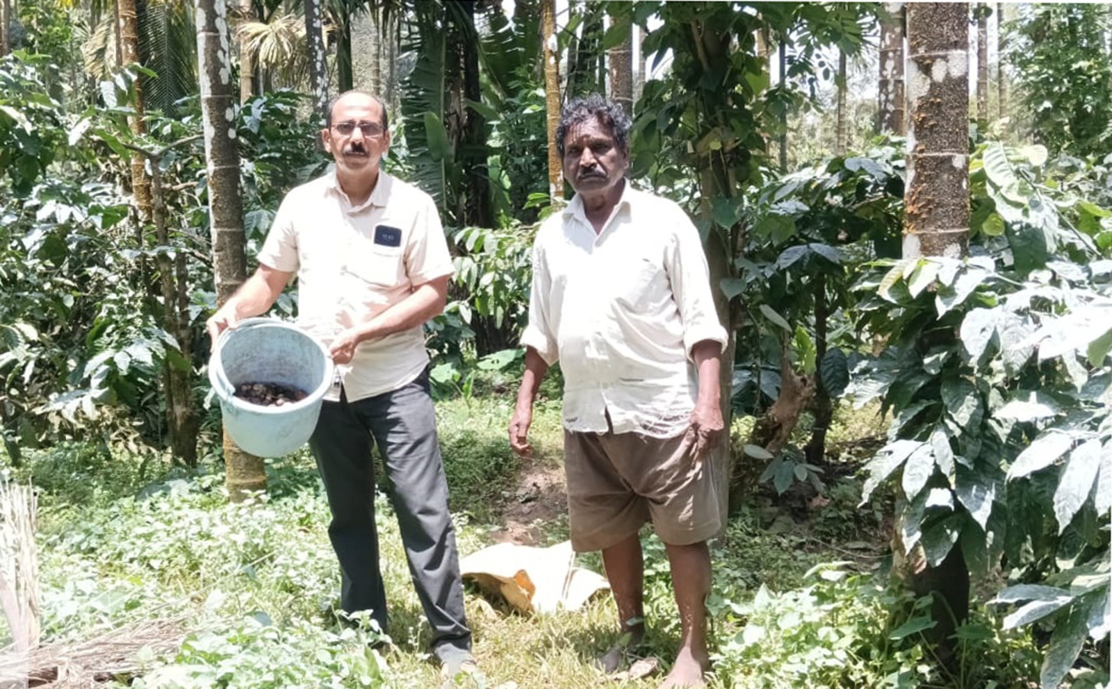 ಕೊಳೆ ರೋಗದಿಂದ ಅಡಿಕೆ ಉದುರಿರುವುದನ್ನು ಹಿರಿಯ ಸಹಾಯಕ ತೋಟಗಾರಿಕಾ ನಿರ್ದೇಶಕ ರೋಹಿತ್ ಪ್ರದರ್ಶಿಸಿದರು