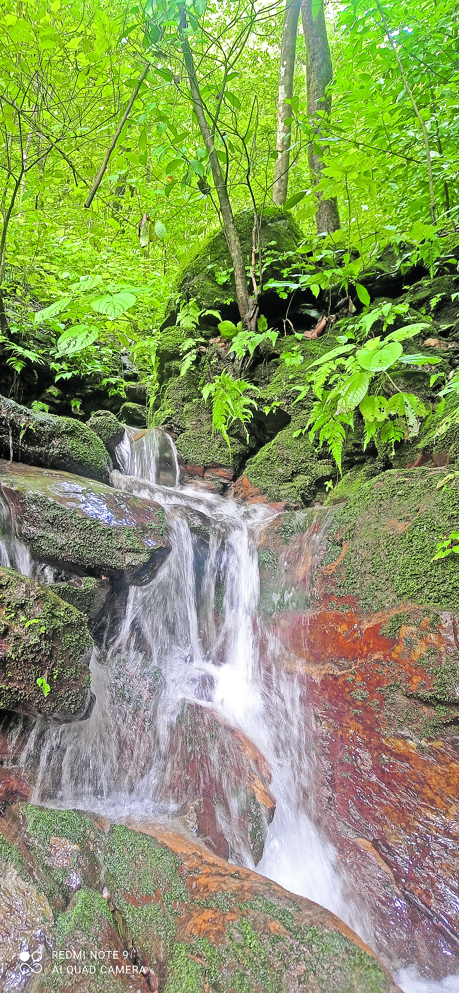 ರಸ್ತೆ ಪಕ್ಕದಲ್ಲೇ ಇರುವ ಕಿರುಜಲಪಾತ