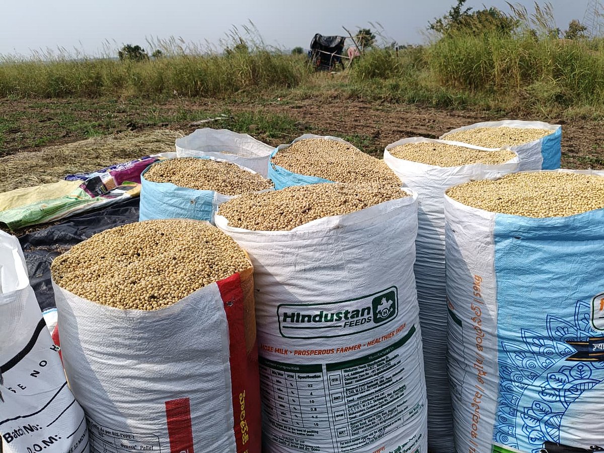 ಬೀದರ್‌ | ಸೋಯಾ ಖರೀದಿ ಕೇಂದ್ರ ವಿಳಂಬ: ಖಾಸಗಿಯವರ ಮೊರೆ ಹೋಗುತ್ತಿರುವ ರೈತರು