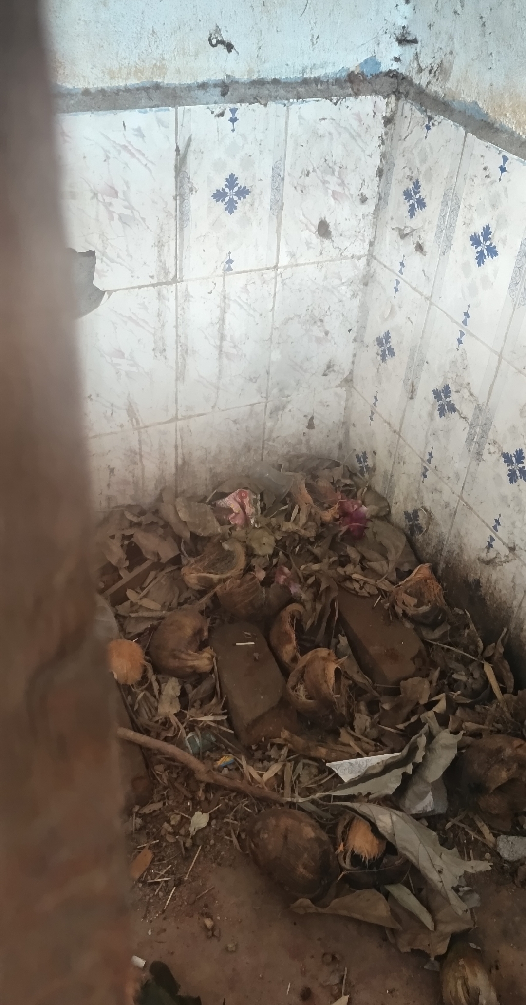 ಕಸ ಕಡ್ಡಿಗಳಿಂದ ತುಂಬಿ ಹೋಗಿರುವ ಸರ್ಕಾರಿ ಶಾಲೆಯ ಶೌಚಾಲಯ