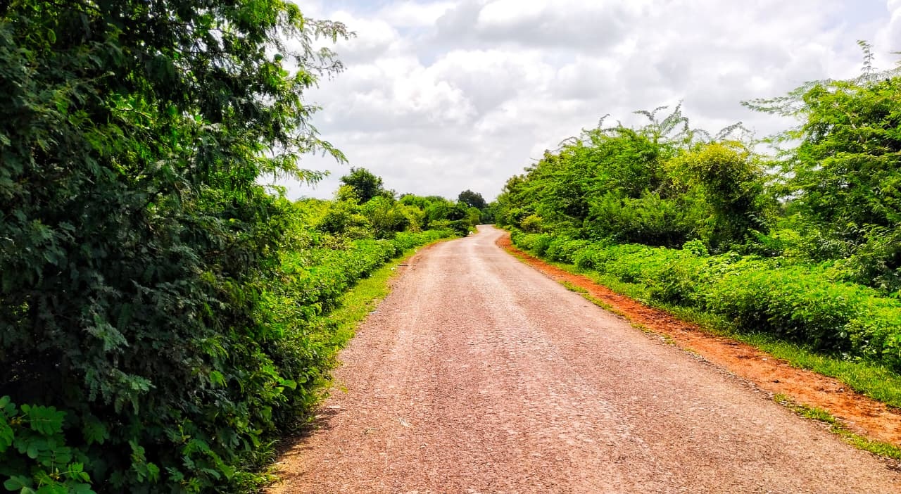 ಹುಲಸೂರ ತಾಲ್ಲೂಕಿನ ಮೀರಖಲ - ಆನಂದವಾಡಿ ಗ್ರಾಮಕ್ಕೆ ಸಂಪರ್ಕ ಕಲ್ಪಿಸುವ ರಸ್ತೆಯ ಎರಡೂ ಬದಿಗಳಲ್ಲಿ ಮುಳ್ಳು ಕಂಟಿ ಬೆಳೆದಿವೆ