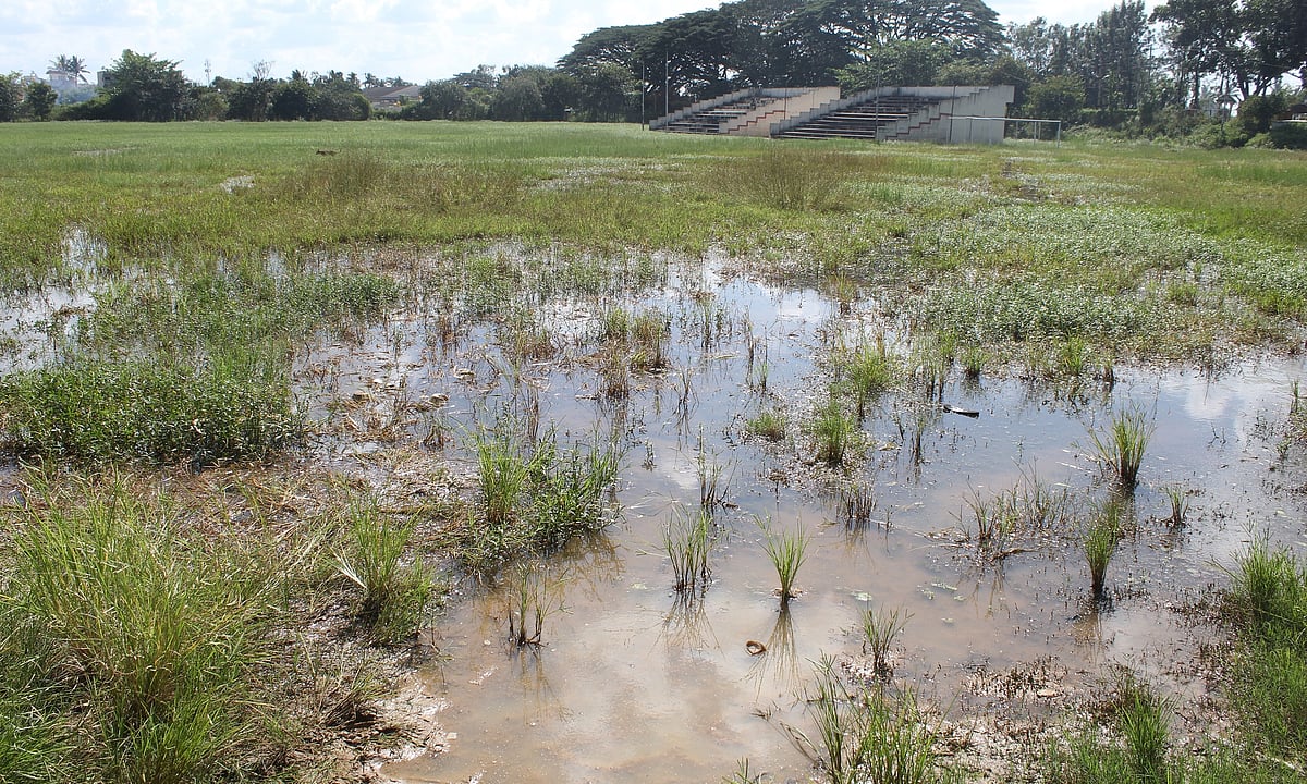 ಮಳೆ ಬಂದರೆ ಕೆಸರು ಗದ್ದೆ, ಬಿಸಿಲಿದ್ದರೆ ಗೋಮಾಳ: ಆನೇಕಲ್ ಕ್ರೀಡಾಂಗಣದ ಅವ್ಯವಸ್ಥೆ