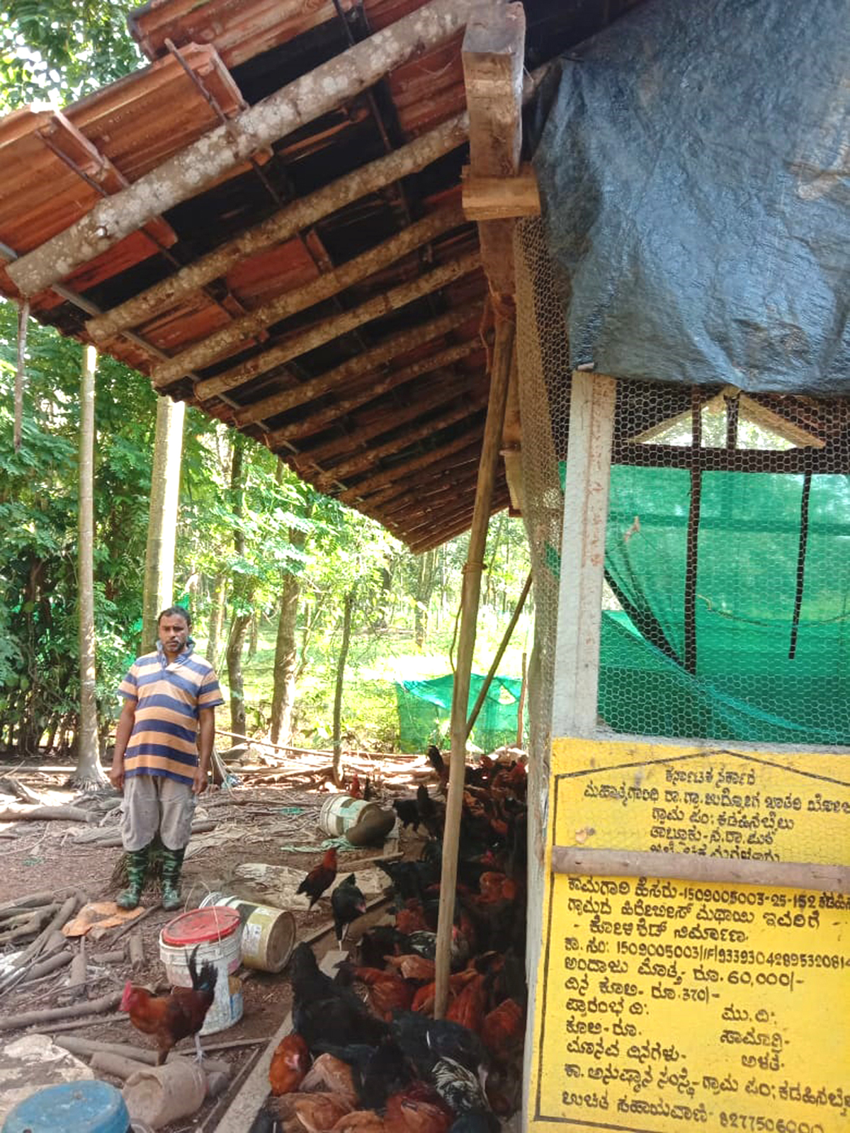 ನರಸಿಂಹರಾಜಪುರ ತಾಲ್ಲೂಕು ಕಡಹಿನ ಬೈಲು ಗ್ರಾಮ ಪಂಚಾಯಿತಿ ಹಿರೇಬೀಸು ಗ್ರಾಮದಲ್ಲಿ ಮಥಾಯಿ ಅವರು ಮಹಾತ್ಮಗಾಂಧಿ ರಾಷ್ಟ್ರೀಯ ಉದ್ಯೋಗ ಖಾತರಿ ಯೋಜನೆಯಡಿ ನಿರ್ಮಿಸಿರುವ ಕೋಳಿಶೆಡ್