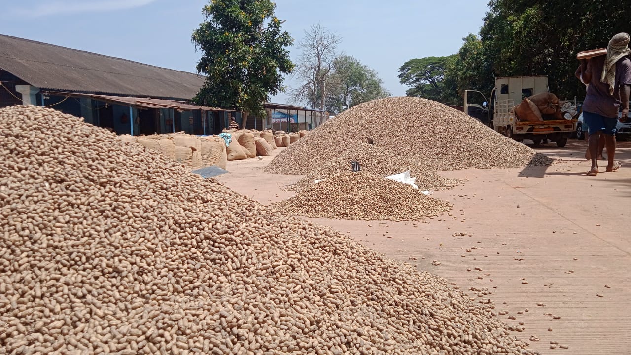 ಹುಬ್ಬಳ್ಳಿಯ ಎಪಿಎಂಸಿಯ ಕಾಳುಕಡಿ ವಿಭಾಗದ ರಸ್ತೆಯಲ್ಲಿ ಶೇಂಗಾ ರಾಶಿಗಳನ್ನು ಹಾಕಿರುವುದು 