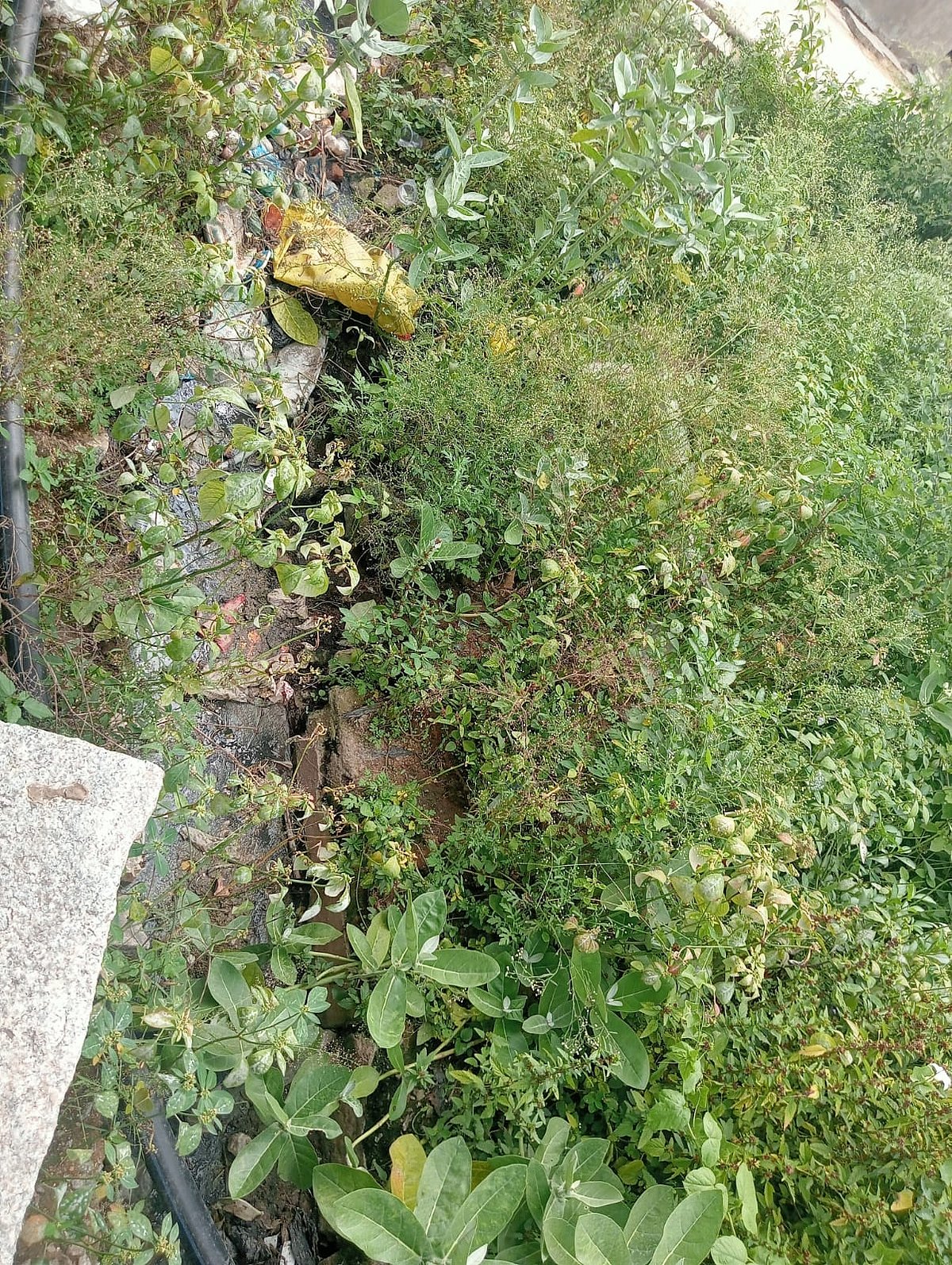 ಗೌರಿಬಿದನೂರು | ಸ್ವಚ್ಛವಾಗದ ಚರಂಡಿ: ನಿಂತಲ್ಲೇ ನಿಲ್ಲುವ ಕೊಳಚೆ ನೀರು