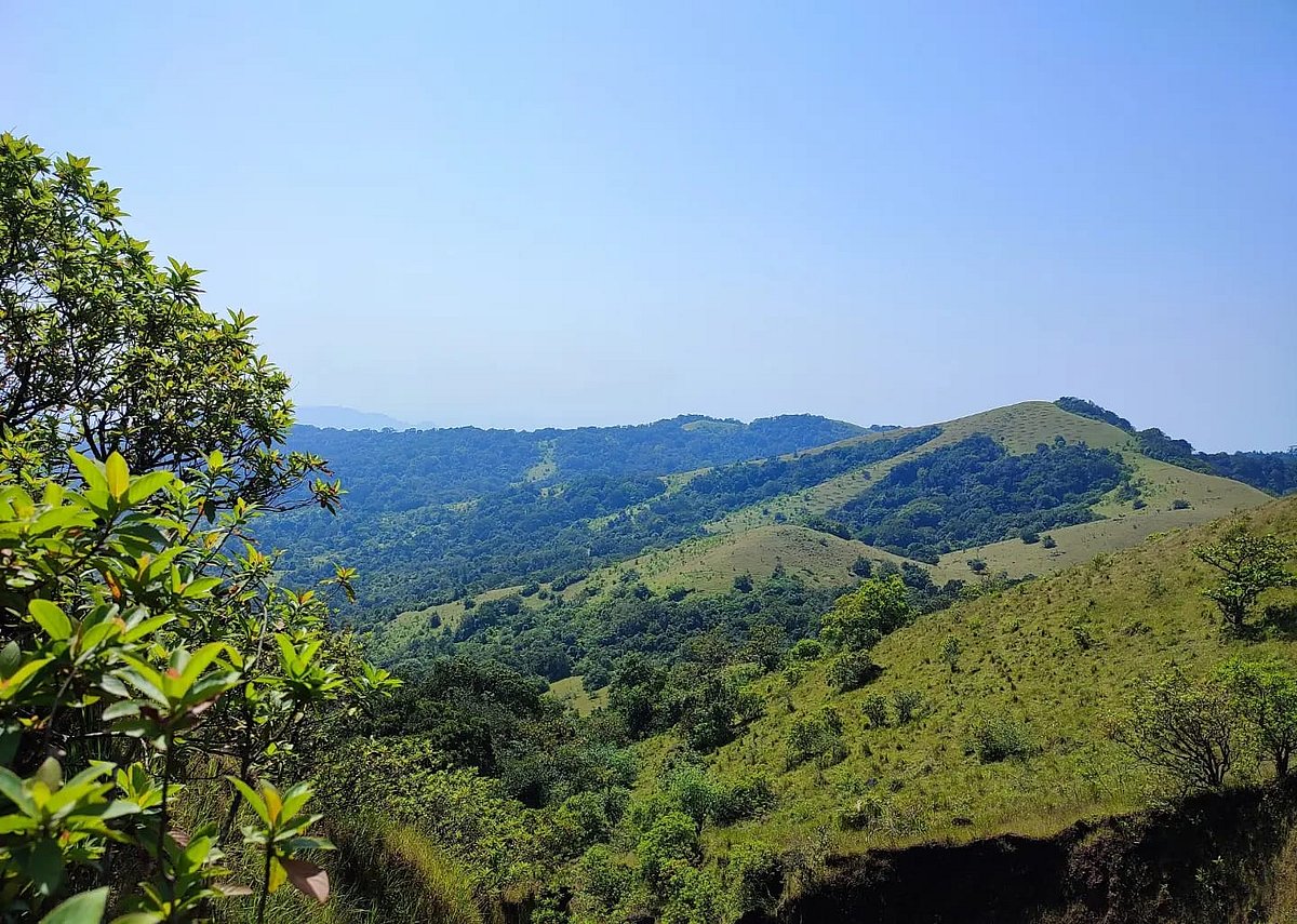 ಅಂಬಾರಗುಡ್ಡ: ರೈತರಿಗೆ ಉರುಳಾದ ಜೀವವೈವಿಧ್ಯ