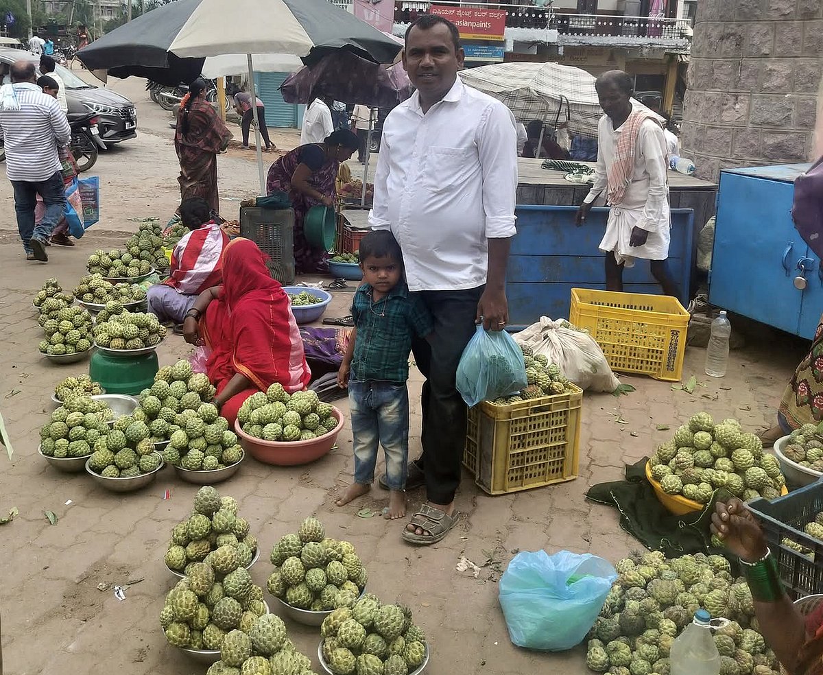 ಸುರಪುರ: ಸೀತಾಫಲ ಹಣ್ಣಿನ ಭರಪೂರ ಇಳುವರಿ 