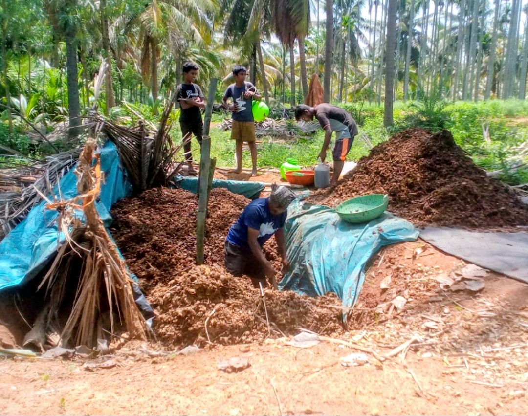 ಹಕ್ಕಿ ಪಕ್ಕ ಬಳಗದಿಂದ ಅಡಿಕೆ ಸಿಪ್ಪೆಯಿಂದ ಗೊಬ್ಬರ ತಯಾರಿ