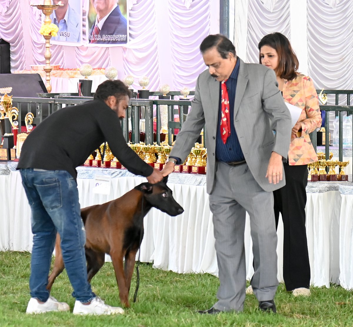 ಮೈಸೂರು: 11ನೇ ರಾಷ್ಟ್ರಮಟ್ಟದ ಚಾಂಪಿಯನ್‌ಶಿಪ್‌ ಶ್ವಾನ ಪ್ರದರ್ಶನ ಸ್ಪರ್ಧೆ