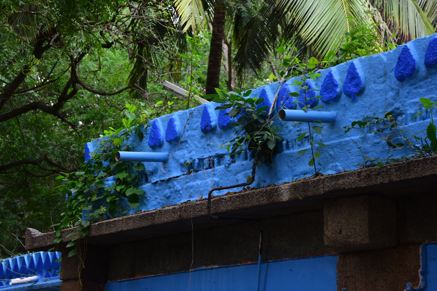 ಚನ್ನಕೇಶವ ಸ್ವಾಮಿ ದೇಗುಲದ ಮಂಟಪ ಆವರಿಸಿರುವ ಗಿಡಗಳು