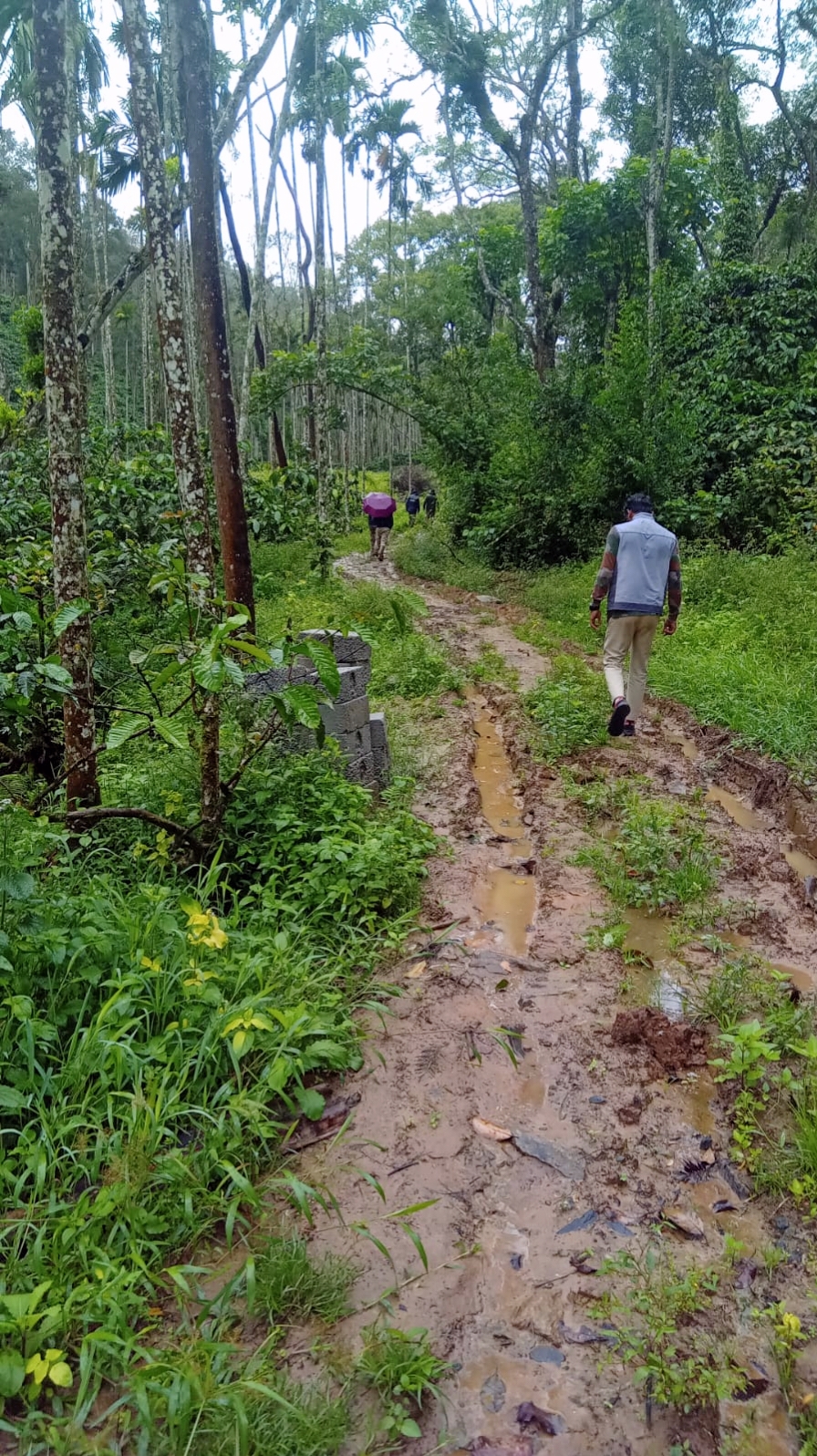 ಸುಂಟಿಕೊಪ್ಪ ಸಮೀಪದ ಕೆದಕಲ್ ಗ್ರಾಮ ಪಂಚಾಯಿತಿ ವ್ಯಾಪ್ತಿಯ ಹೊರೂರು ಗ್ರಾಮದಲ್ಲಿ ಕಂಡುಬಂದ ಹುಲಿಯ ಹೆಜ್ಜೆ ಗುರುತಿನ ಕುರುವಿನ ವಿಚಾರ ತಿಳಿದು ಅರಣ್ಯ ಇಲಾಖೆ ಸಿಬ್ಬಂದಿಗಳು ಭೇಟಿ ನೀಡಿ ಪರಿಶೀಲಿಸಿದರು