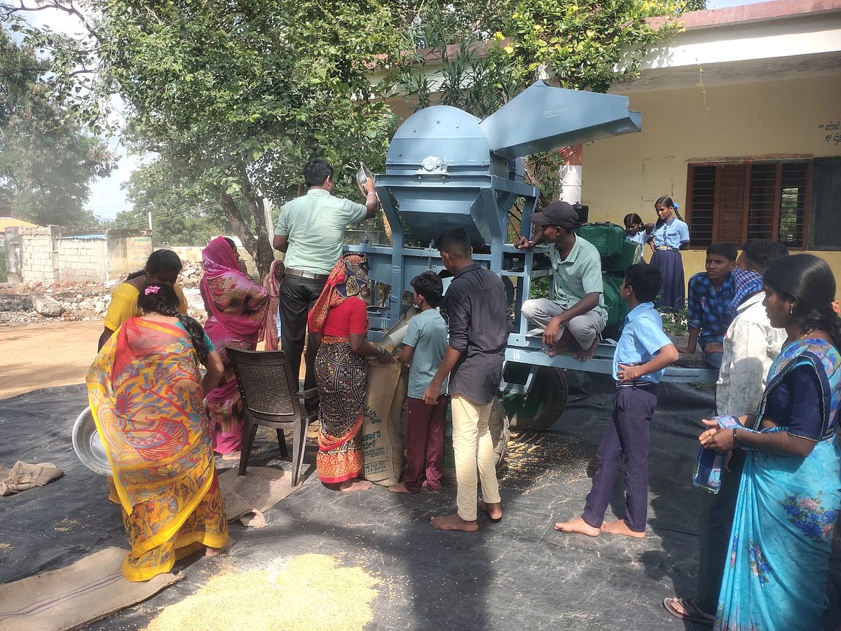 ಯಾದಗಿರಿ | ಹುಳುಹಿಡಿದ ಪಡಿತರ: ಸ್ವಚ್ಛಗೊಳಿಸಿದ ಶಿಕ್ಷಕರು