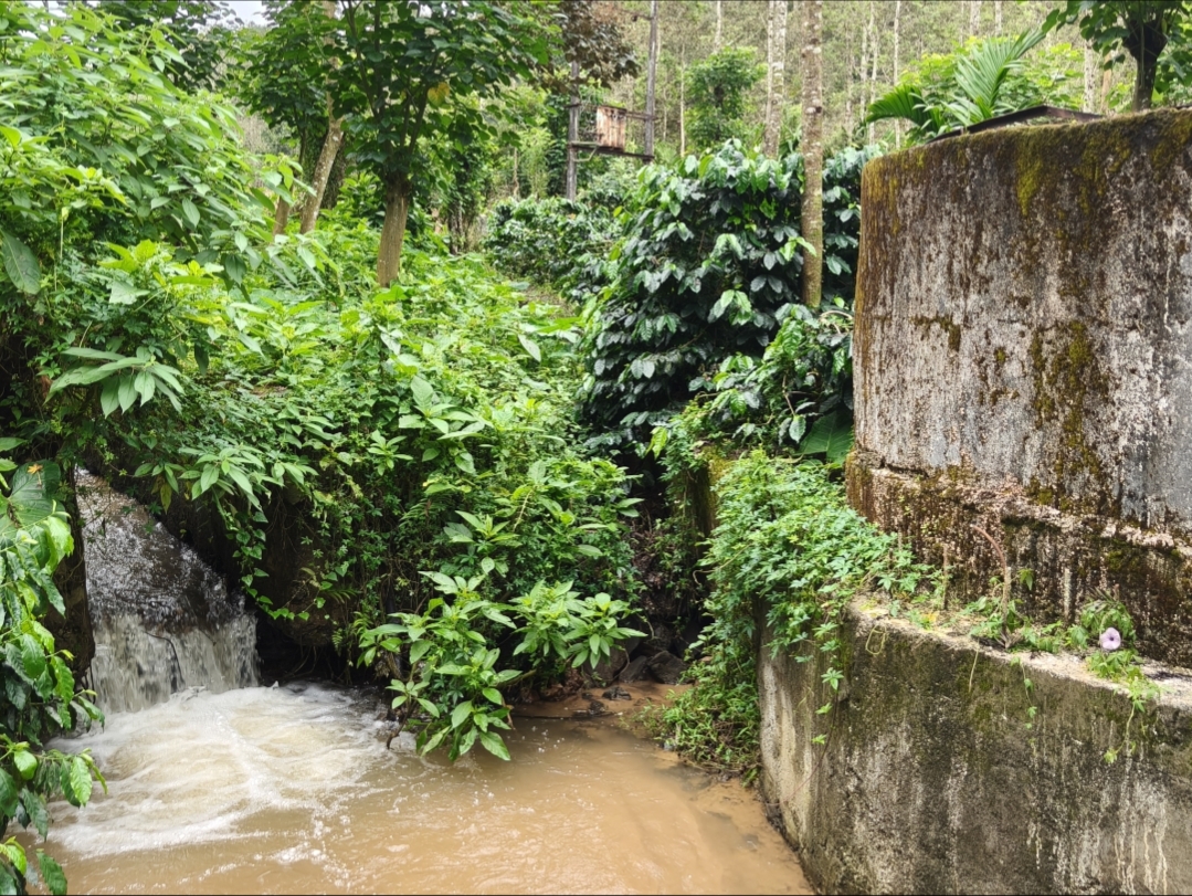 ಬಾವಿಯ ಪಕ್ಕದಲ್ಲಿ ಹರಿಯುವ ಹಳ್ಳದ ನೀರು ರಂಧ್ರದ ಮೂಲಕ ಬಾವಿಯಲ್ಲಿ ನುಗ್ಗುತ್ತಿರುವುದು