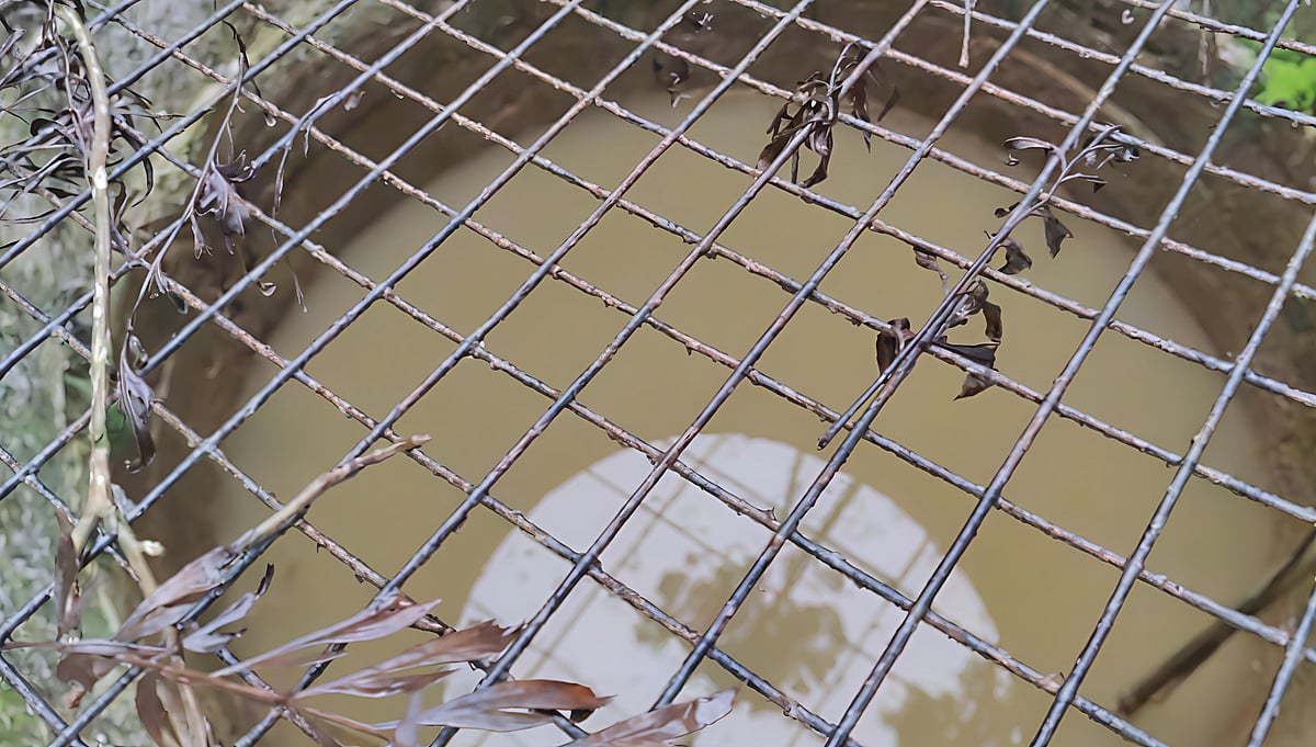 ಅಡ್ಡಮಕ್ಕಿ: ಕುಡಿಯುವ ನೀರಿನ ಸಮಸ್ಯೆ ಪರಿಹರಿಸುವಂತೆ ಒತ್ತಾಯ