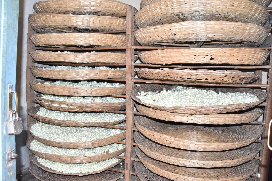 ರೇಷ್ಮೆ ಗೂಡು