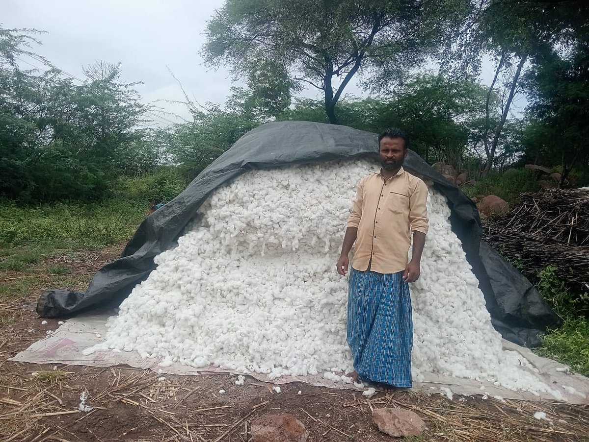 ಹಟ್ಟಿ ಚಿನ್ನದ ಗಣಿ: ಹತ್ತಿ ಖರೀದಿ ಕೇಂದ್ರವಿಲ್ಲದೆ ರೈತರ ಪರದಾಟ