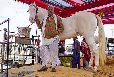 ₹11 ಕೋಟಿ ಬೆಲೆಯ ಕುದುರೆಯೊಂದಿಗೆ ನಿಂತ ಮಾಲೀಕ