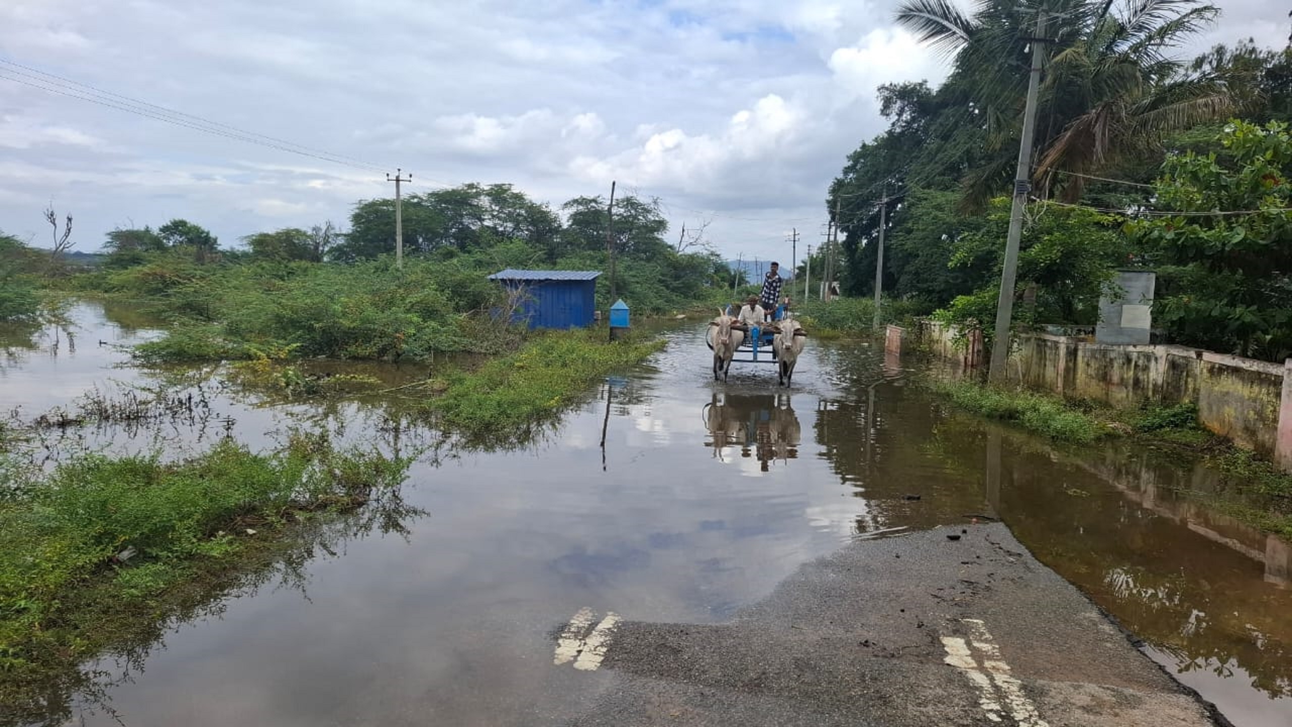 ಹೊಸದುರ್ಗದ ಅತ್ತಿಮಗ್ಗೆ ಗ್ರಾಮದಲ್ಲಿ ಹಿನ್ನೀರು ಆವರಿಸಿ ಸಂಚಾರಕ್ಕೆ ತೊಂದರೆಯಾಗಿದೆ 