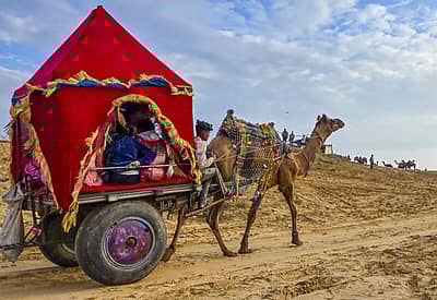 ಅಲಂಕೃತವಾಗಿ ಗಾಡಿ ಎಳೆದುಕೊಂಡು ಹೋಗುತ್ತಿರುವ ಒಂಟೆ