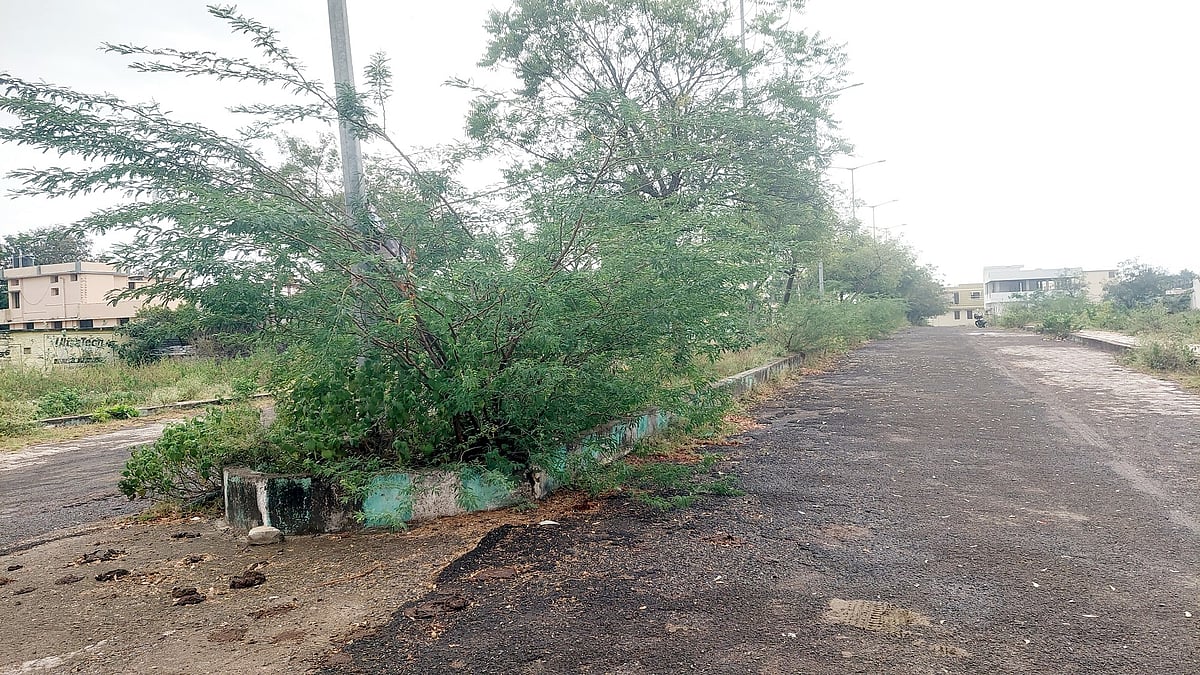 ಚಿಂಚೋಳಿ: ಬಸವ ನಗರ ಜನರ ಗೋಳು ಕೇಳುವವರೇ ಇಲ್ಲ!