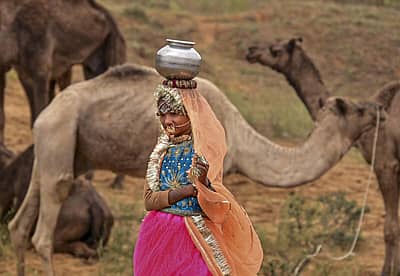 ಪುಷ್ಕರ್‌ ನಗರದಲ್ಲಿ ಈ ಈಗಾಗಲೇ ಒಂಟೆಯೊಂದಿಗೆ ಮಾಲೀಕರು ಬೀಡು ಬಿಟ್ಟಿದ್ದಾರೆ.
