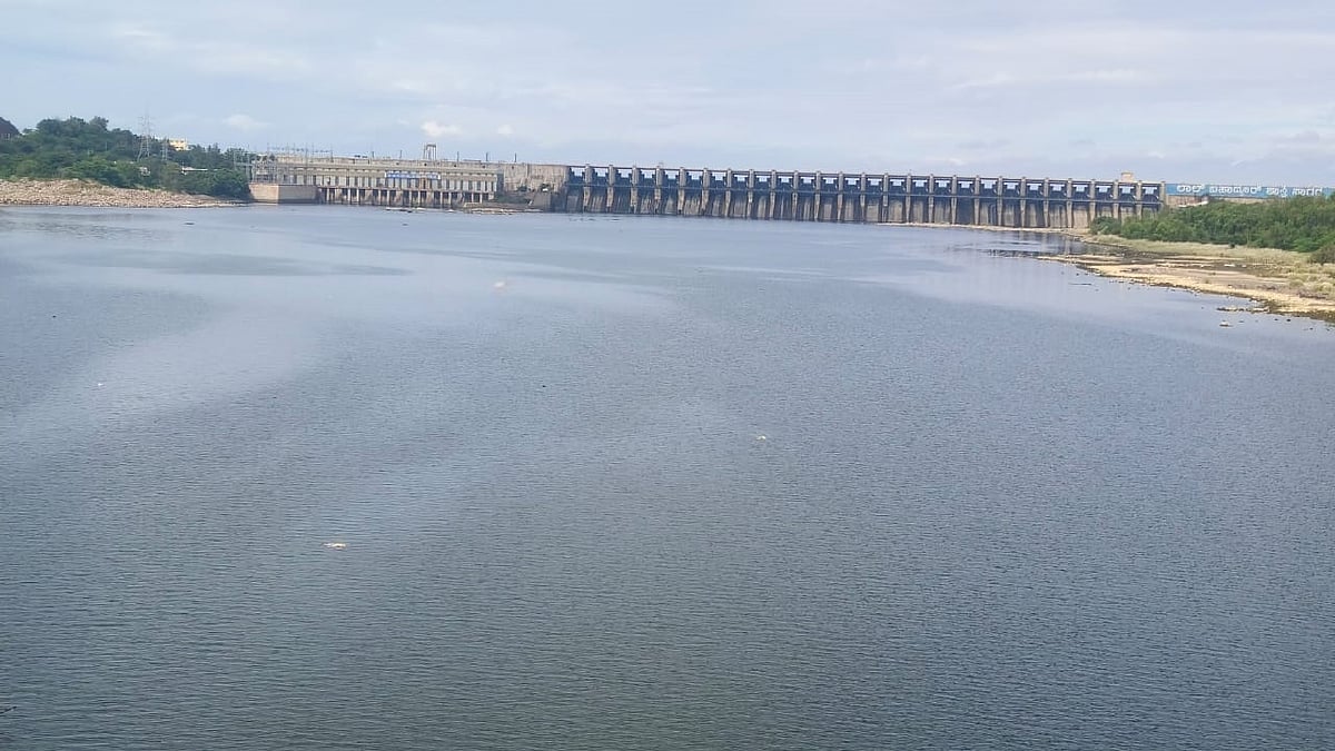 ಆಲಮಟ್ಟಿ: ಹಿಂಗಾರು ಹಂಗಾಮಿಗಿಲ್ಲ ನೀರಿನ ಕೊರತೆ