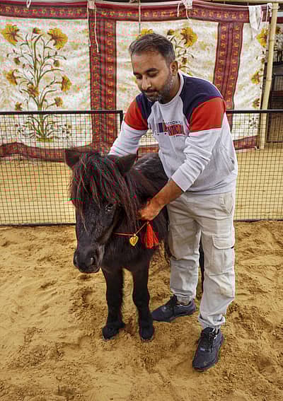 ದೇಶ, ವಿದೇಶಿಗಳಿಂದ ಜಾನುವಾರ ವೀಕ್ಷಿಸಲು ಪ್ರವಾಸಿಗರು ರಾಜಸ್ಥಾನಕ್ಕೆ ಆಗಮಿಸುತ್ತಾರೆ