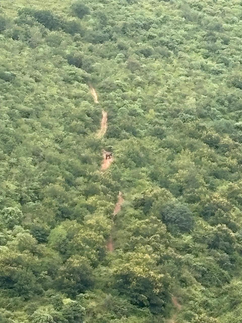 ‘ನುಗು’ ಸನಿಹ ಅದಿರು ಶೋಧ: ಅರಣ್ಯ ಇಲಾಖೆಗೆ ಭೂ ಸರ್ವೇಕ್ಷಣಾ ಸಂಸ್ಥೆ ಪ್ರಸ್ತಾವನೆ