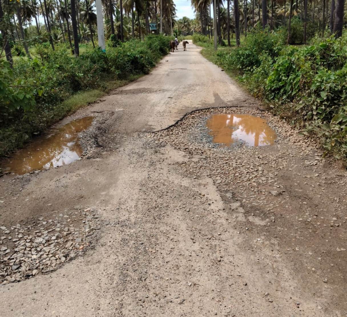 ಮುತ್ತಗದಹಳ್ಳಿ ರಸ್ತೆ