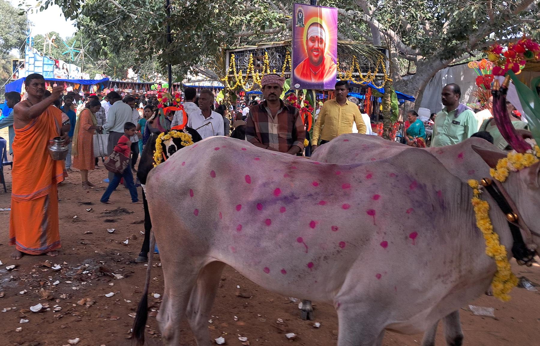 ಕಬ್ಬಳಿ ಜಾತ್ರೆಯ ಅಂಗವಾಗಿ ಬಸವೇಶ್ವರ ಸ್ವಾಮಿ ದೇವಸ್ಥಾನದ ಮುಂಭಾಗ ರೈತರು ತಮ್ಮ ರಾಸುಗಳಿಗೆ ದೇವರ ತೀರ್ಥವನ್ನು ಹಾಕಿಸುತ್ತಿರುವುದು (ಸಂಗ್ರಹ ಚಿತ್ರ)