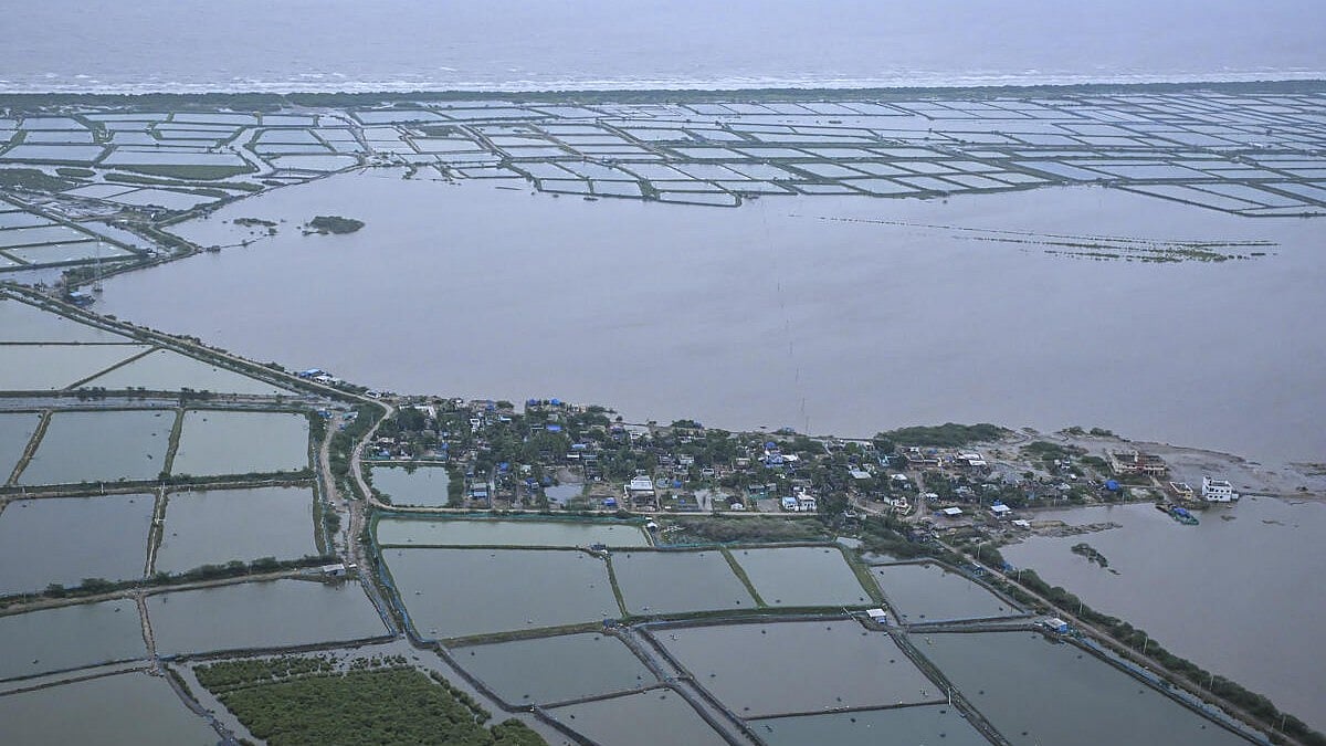 ಆಂಧ್ರಪ್ರದೇಶ | ಮೊಂಥಾ ಚಂಡಮಾರುತದಿಂದ ₹5,265 ಕೋಟಿ ನಷ್ಟ: ಸಿಎಂ ನಾಯ್ಡು
