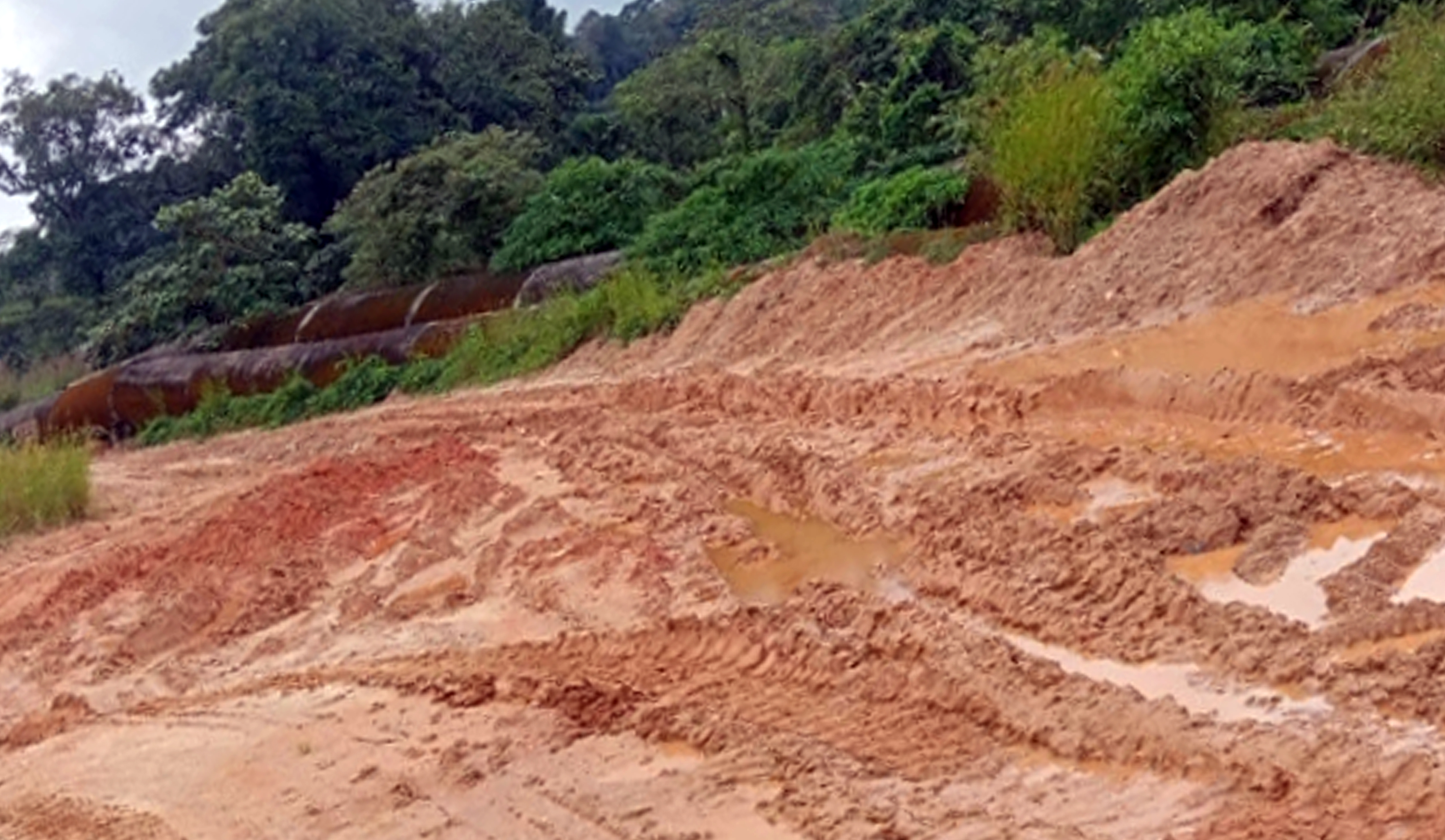 ಸಕಲೇಶಪುರ ತಾಲ್ಲೂಕಿನ ಕ್ಯಾನಹಳ್ಳಿ ಪಂಚಾಯಿತಿ ವ್ಯಾಪ್ತಿಯ ಕಾಡುಗದ್ದೆ ಗ್ರಾಮದ ರಸ್ತೆ ಸಂಪೂರ್ಣ ಹಾಳಾಗಿರುವುದು 