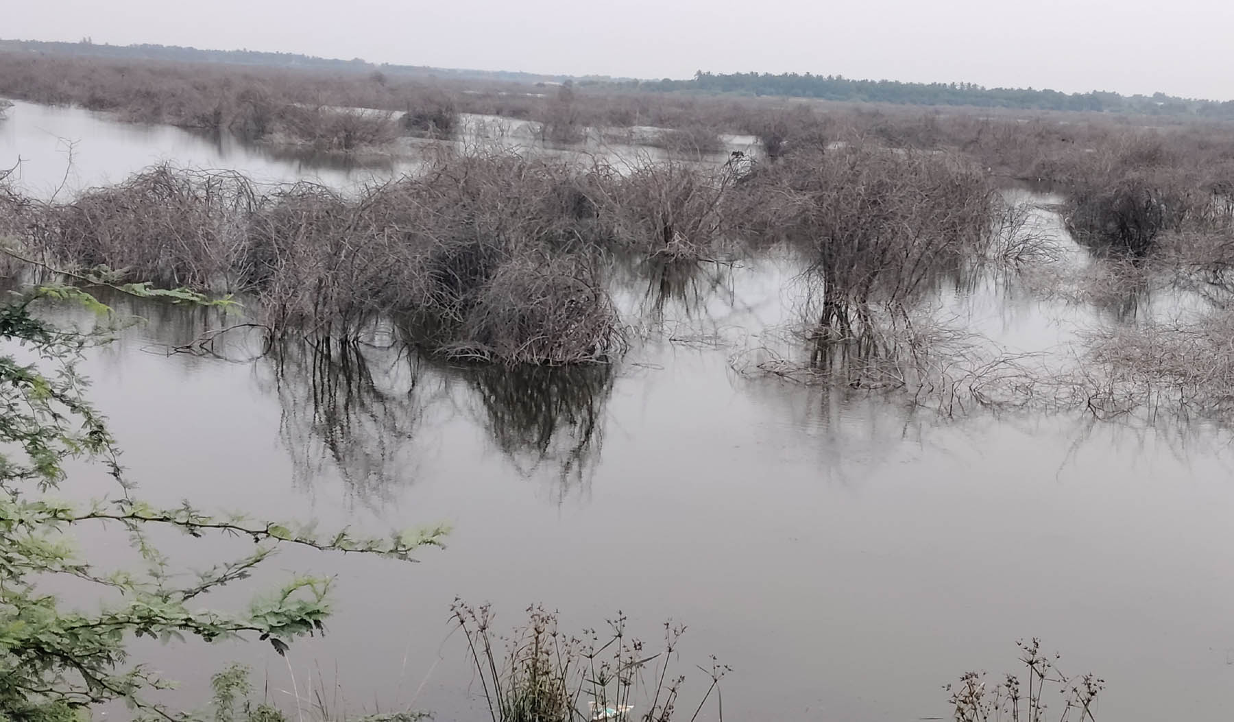ಐತಿಹಾಸಿಕ ಧರ್ಮಪುರ ಕೆರೆ