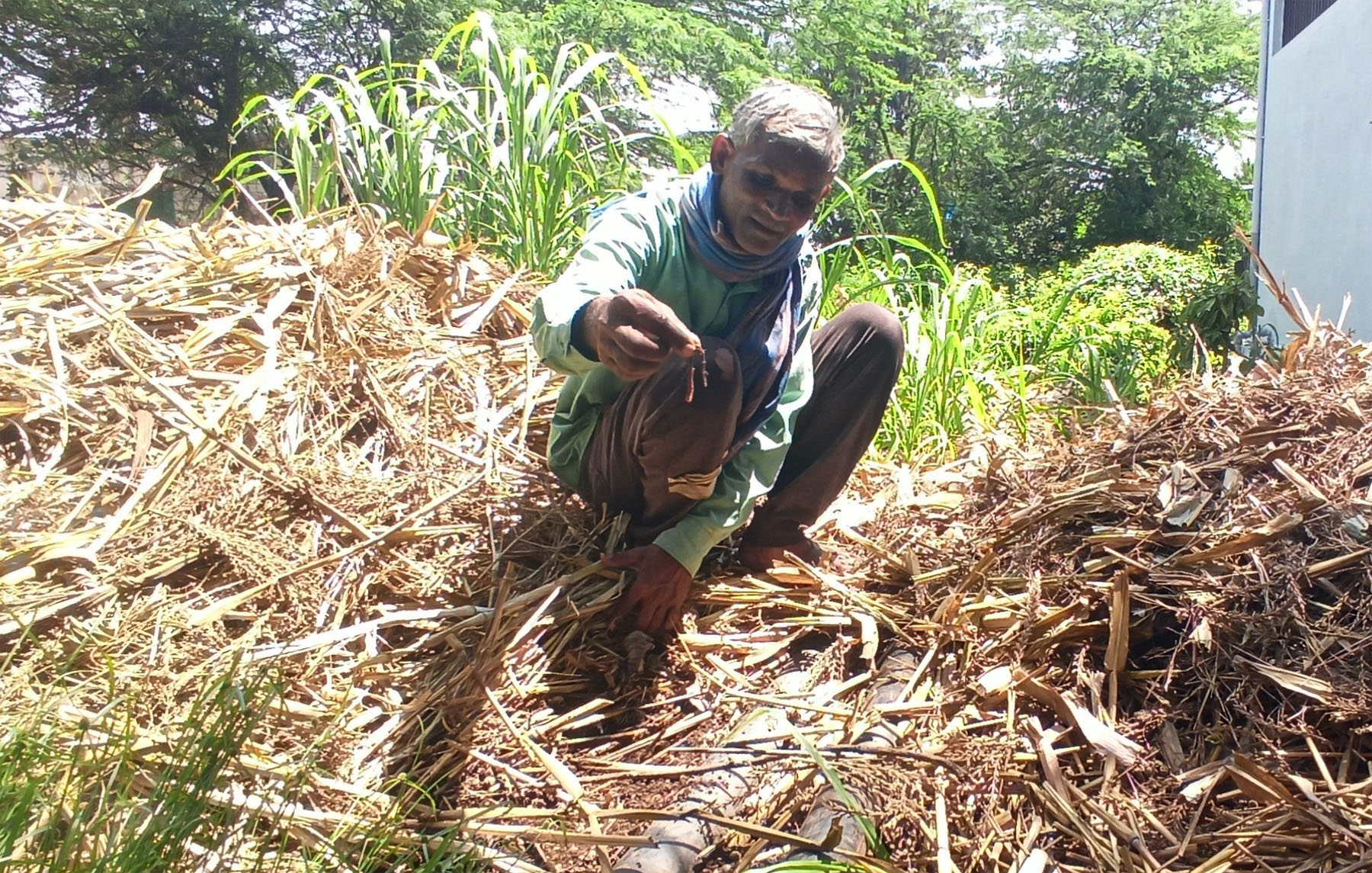 ರೈತ ಸುರೇಶ ಎಂ. ಕುಪ್ಪೇಲೂರು ಅವರು ಎರೆಹುಳು ಗೊಬ್ಬರ ತಯಾರಿಸುತ್ತಿದ್ದಾರೆ. 