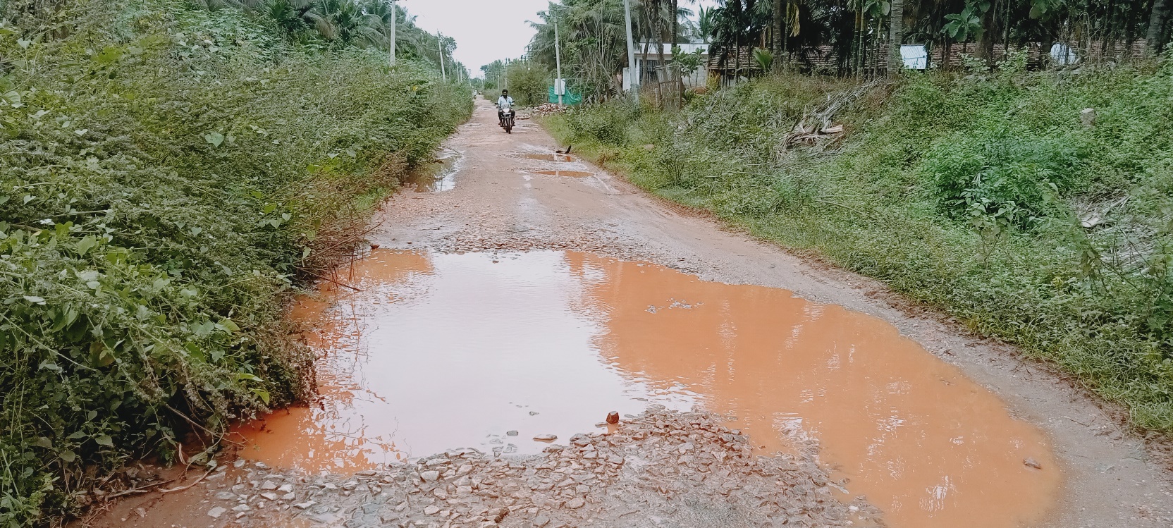 ಬೀಚ್‌ನಹಳ್ಳಿ- ತೋವಿನಕೆರೆ