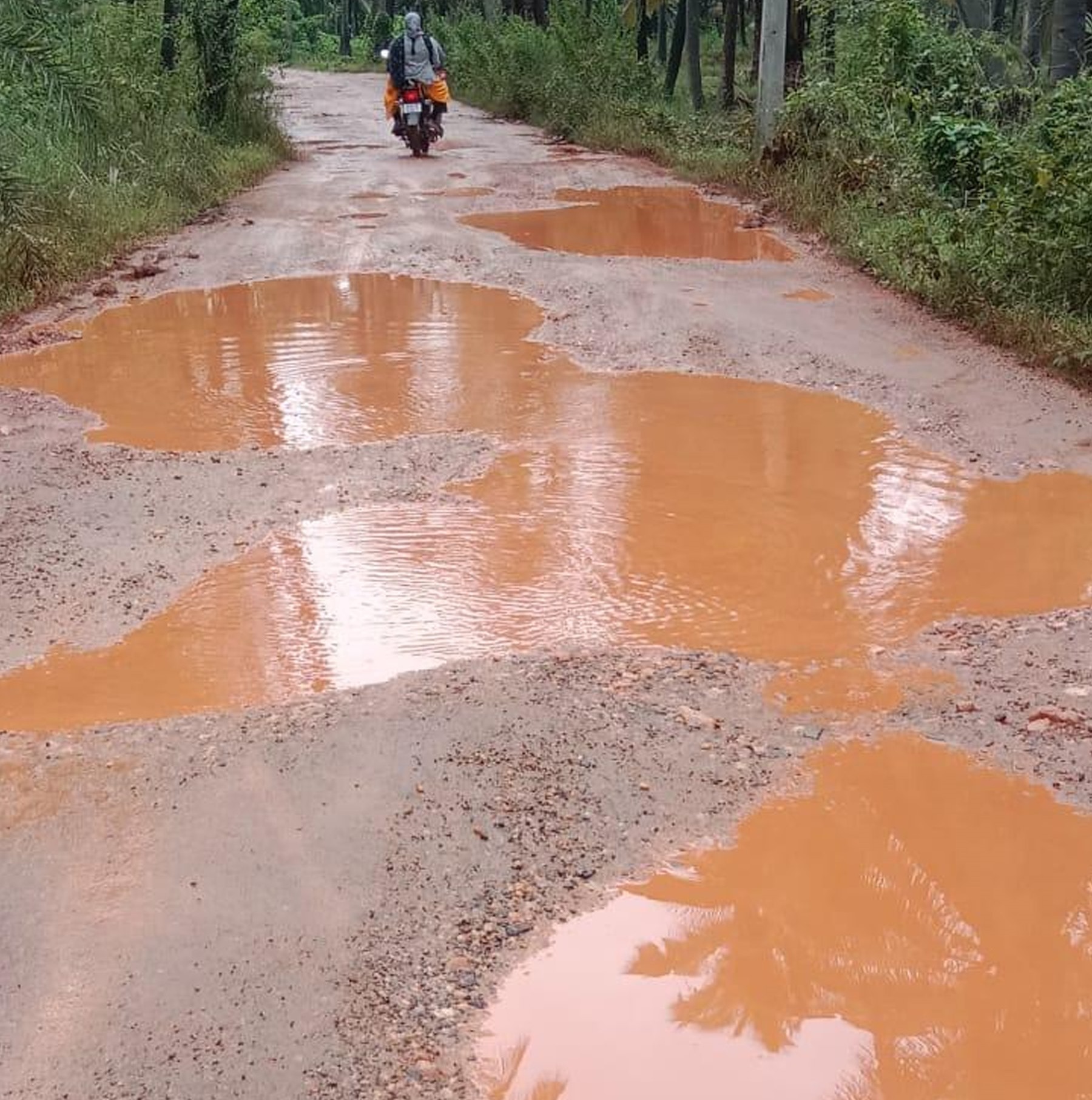 ತೊರೆಮಾವಿನಹಳ್ಳಿ- ಆನೇಕೆರೆ ರಸ್ತೆ
