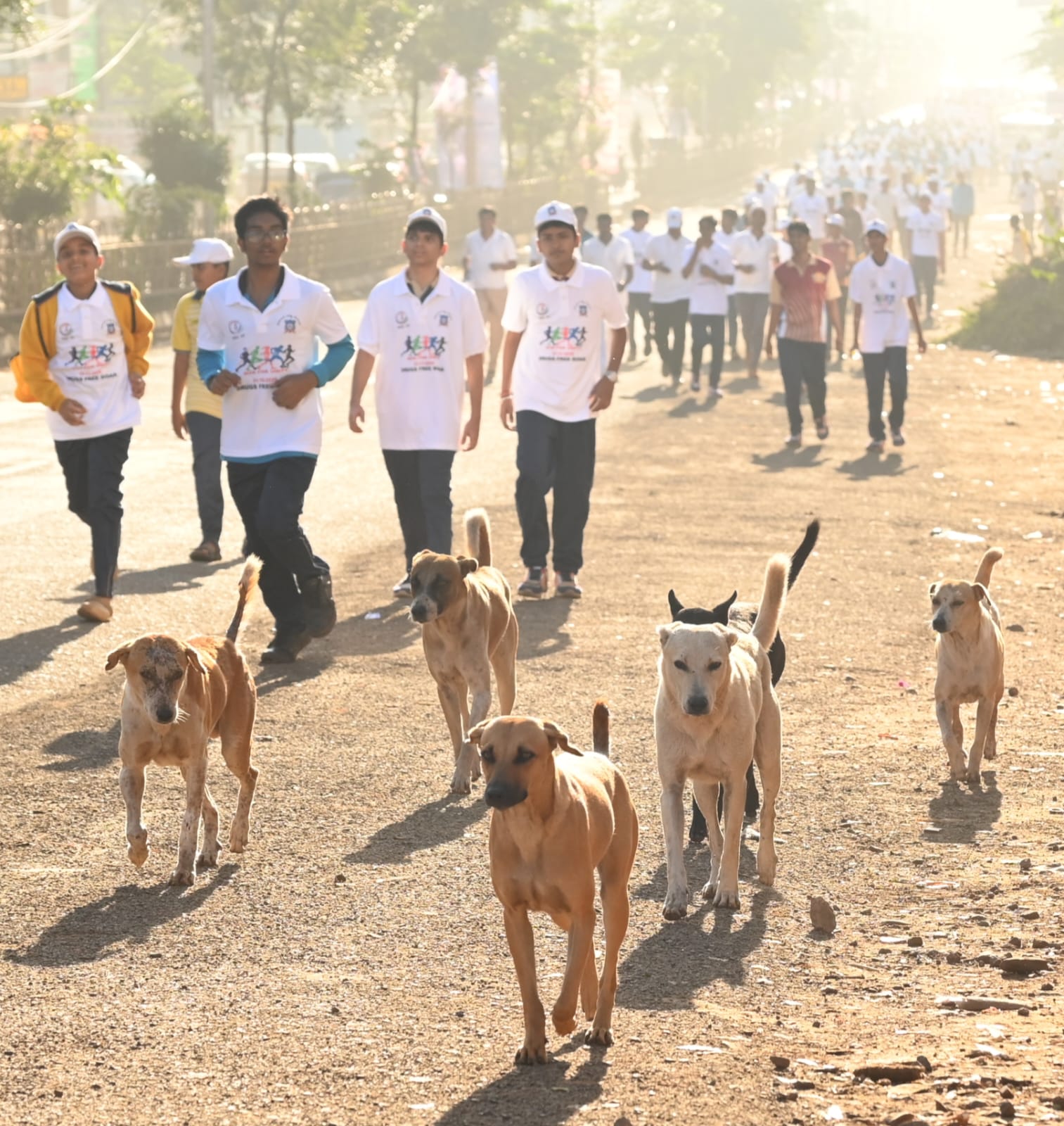 ಏಕತಾ ನಡಿಗೆಯಲ್ಲಿ ಜನರೊಂದಿಗೆ ಹೆಜ್ಜೆ ಹಾಕಿದ ಬೀದಿ ನಾಯಿಗಳು