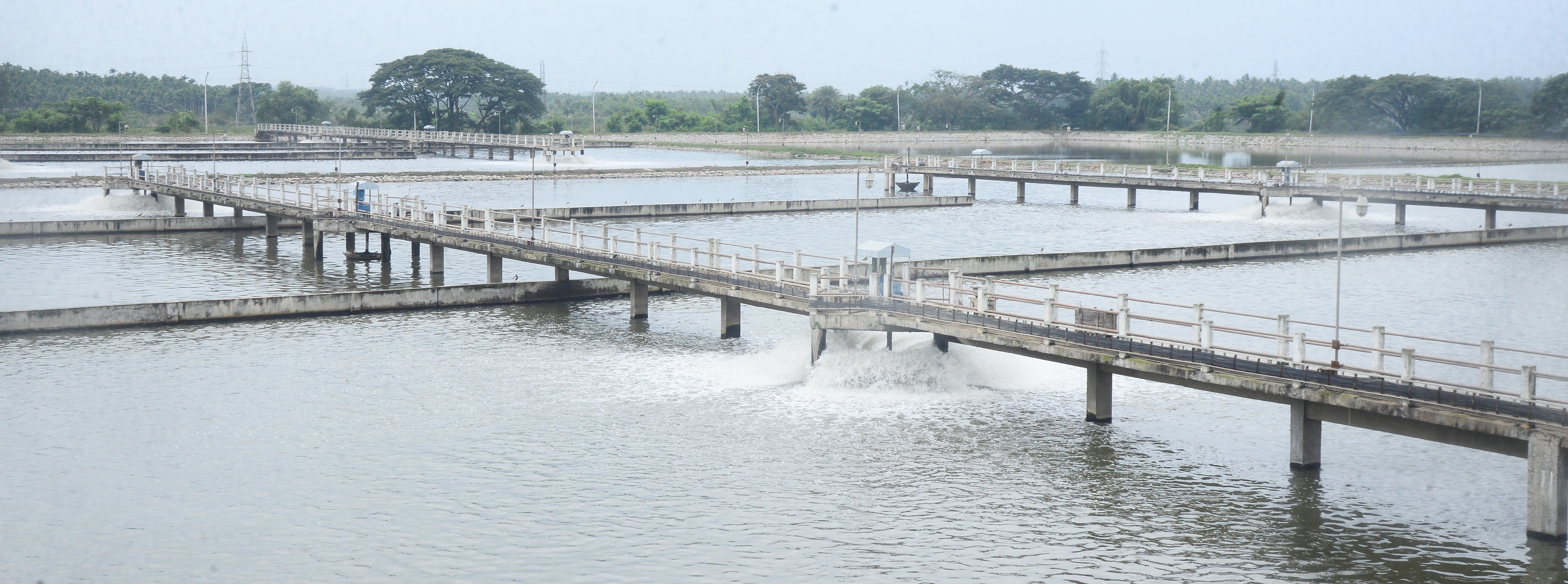 ಕೆರೆಯಲ್ಲಿ ನೀರು ಸಂಸ್ಕರಣಾ ಘಟಕ