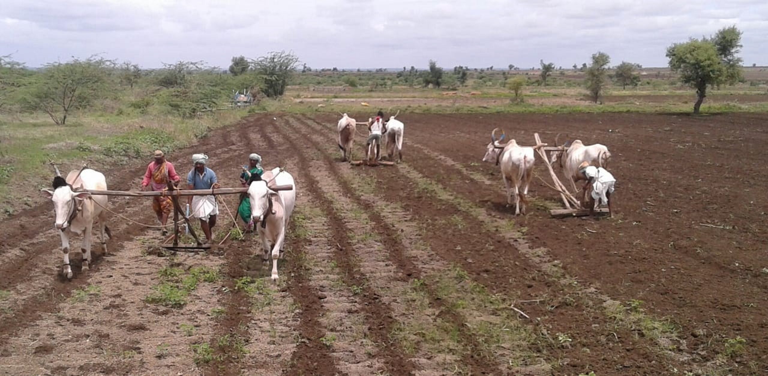 ಸಂಗ್ರಹ ಚಿತ್ರ