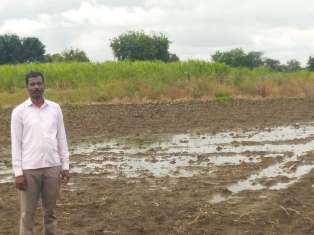 ಭಾಲ್ಕಿ ತಾಲ್ಲೂಕಿನ ಡಾವರಗಾಂವ ಗ್ರಾಮದ ರೈತ ರಾಜಶೇಖರ ಶೇರಿಕಾರ ಅವರ ಕಡಲೆ ಬಿತ್ತನೆ ಮಾಡಲಾದ ಹೊಲದಲ್ಲಿ ಈಚೆಗೆ ಸುರಿದ ಮಳೆಯಿಂದಾಗಿ ನೀರು ನಿಂತು ಬೀಜ ಮೊಳಕೆಯೊಡೆಯದೆ ಇರುವುದು