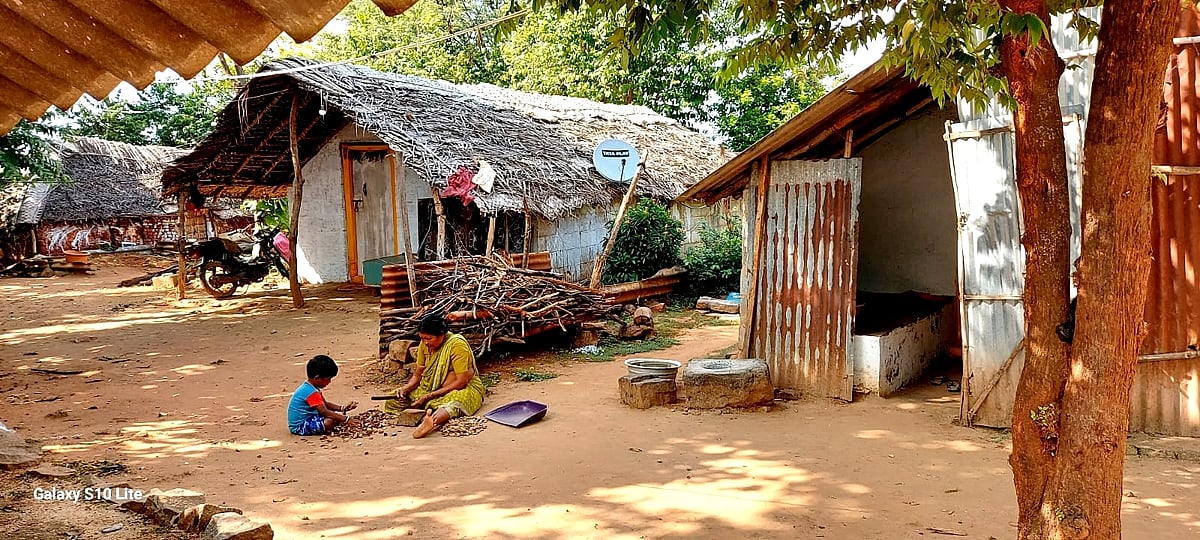 ಕೃಷ್ಣೇಗೌಡನದೊಡ್ಡಿ: ಬುಡಕಟ್ಟು ಜನಾಂಗದ ಅರಣ್ಯ ರೋದನ! 30 ವರ್ಷಗಳಿಂದ ಸಿಗದ ಮನೆ