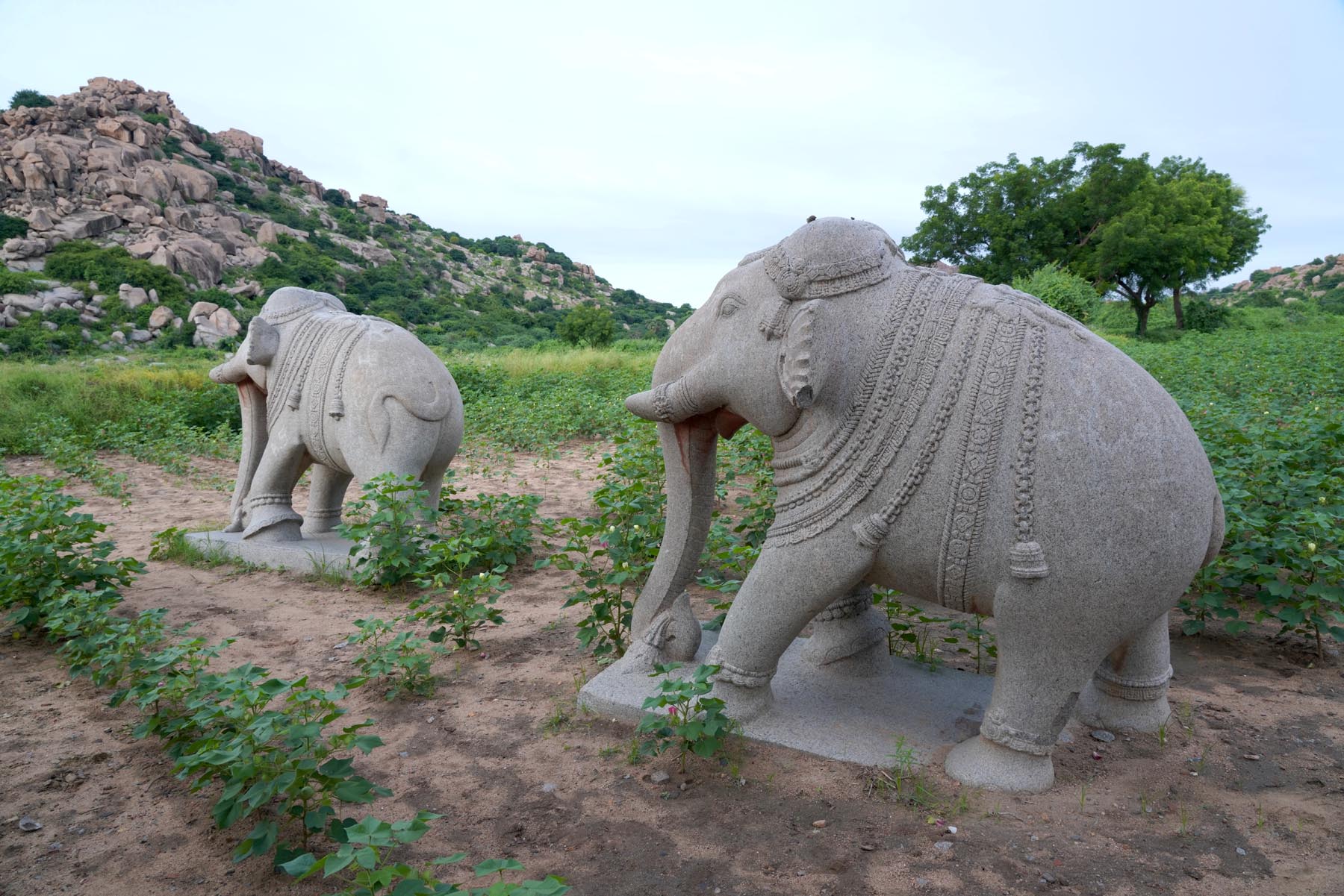 ರಾಯಚೂರು ತಾಲ್ಲೂಕಿನ ಮಲಿಯಾಬಾದ್‌ ಕೋಟೆಯೊಳಗಿರುವ ಕಲ್ಲಾನೆಗಳು 
