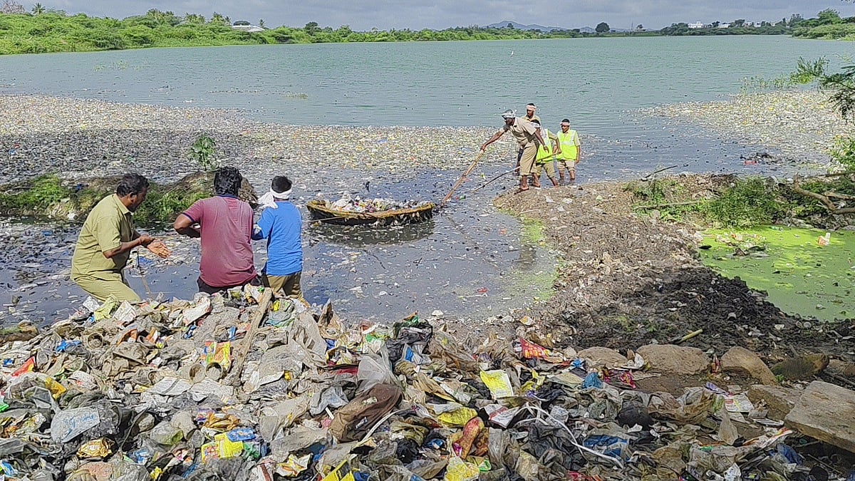 ಹರಪನಹಳ್ಳಿ: ಪುನಶ್ಚೇತನಕ್ಕೆ ಕಾದಿವೆ ಕಲುಷಿತ ಕೆರೆಗಳು