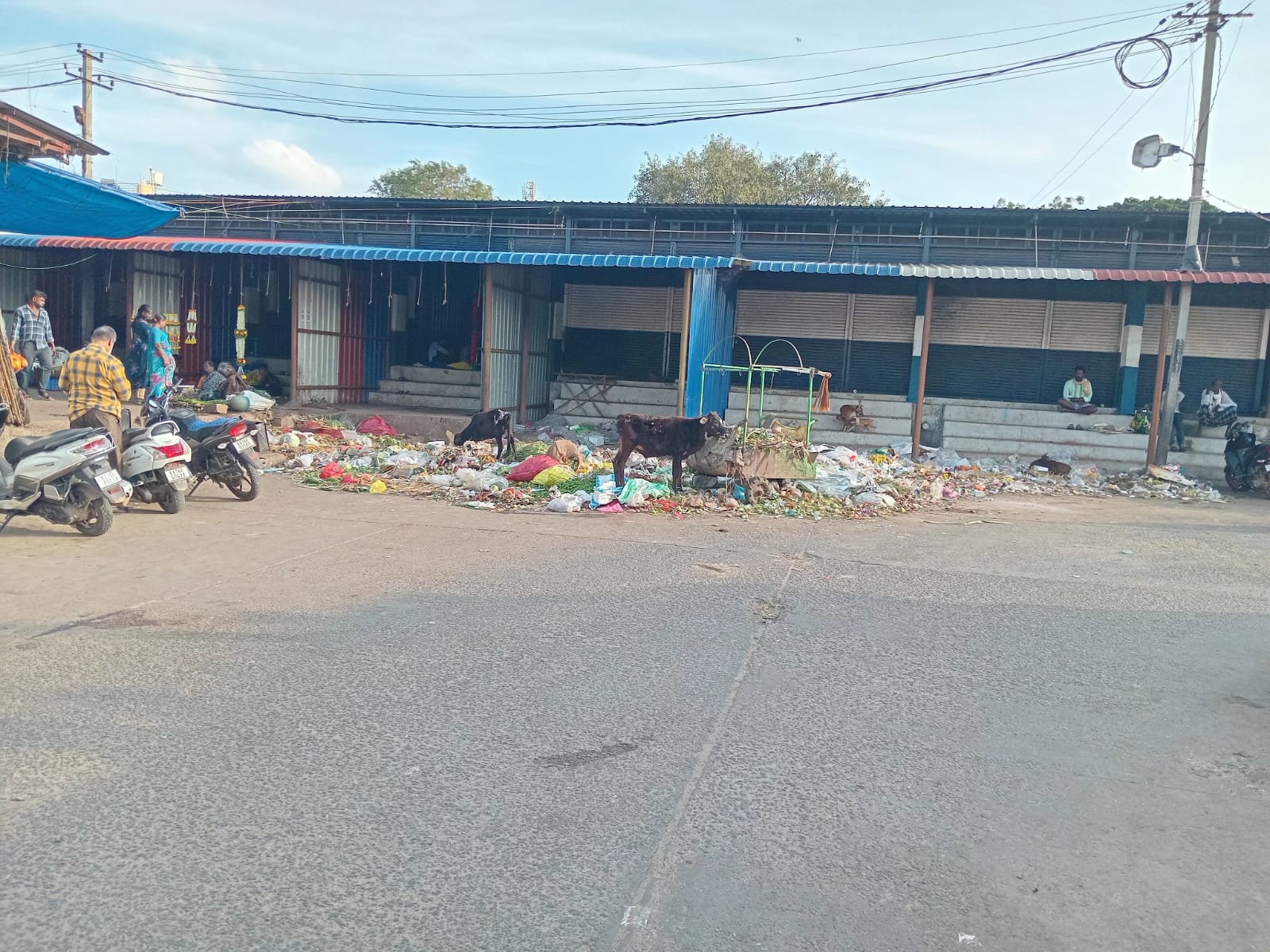 ಕಸದ ರಾಶಿಯ ನಡುವೆ ಚಿತ್ರದುರ್ಗ ಖಾಸಗಿ ಬಸ್‌ ನಿಲ್ದಾಣ