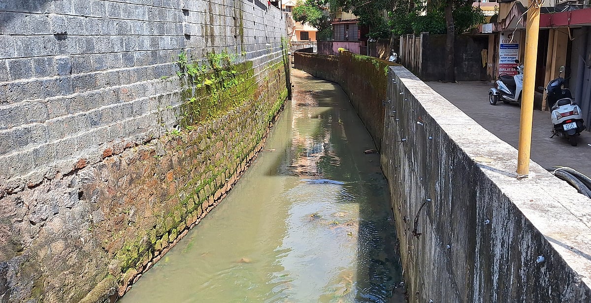 ಮಂಗಳೂರು: ಕಾಲುವೆಯೇ ಕಂಟಕ; ವಾಸನೆಯ ಸಂಕಟ 