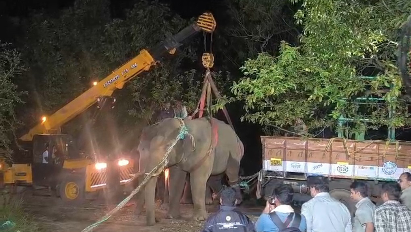 ಕೆರೆಗದ್ದೆಯಲ್ಲಿ ಇಬ್ಬರು ರೈತರನ್ನು ಕೊಂದು ಹಾಕಿ ಕುದುರೆಮುಖದ ಭಗವತಿ ಅರಣ್ಯದಲ್ಲಿ ಬೀಡು ಬಿಟ್ಟಿದ್ದ ಕಾಡಾನೆಯನ್ನು ಭಾನುವಾರ ರಾತ್ರಿ ಸೆರೆ ಹಿಡಿಯಲಾಯಿತು