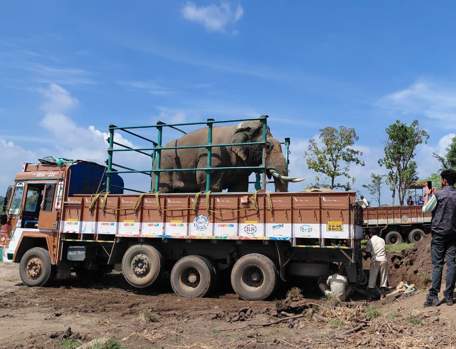 ಸೆರೆ ಹಿಡಿದ ಕಾಡಾನೆಯನ್ನು ಕೊಡಗಿನ ದುಬಾರೆ ಆನೆ ಶಿಬಿರಕ್ಕೆ ಕರೆದೊಯ್ಯಲಾಯಿತು