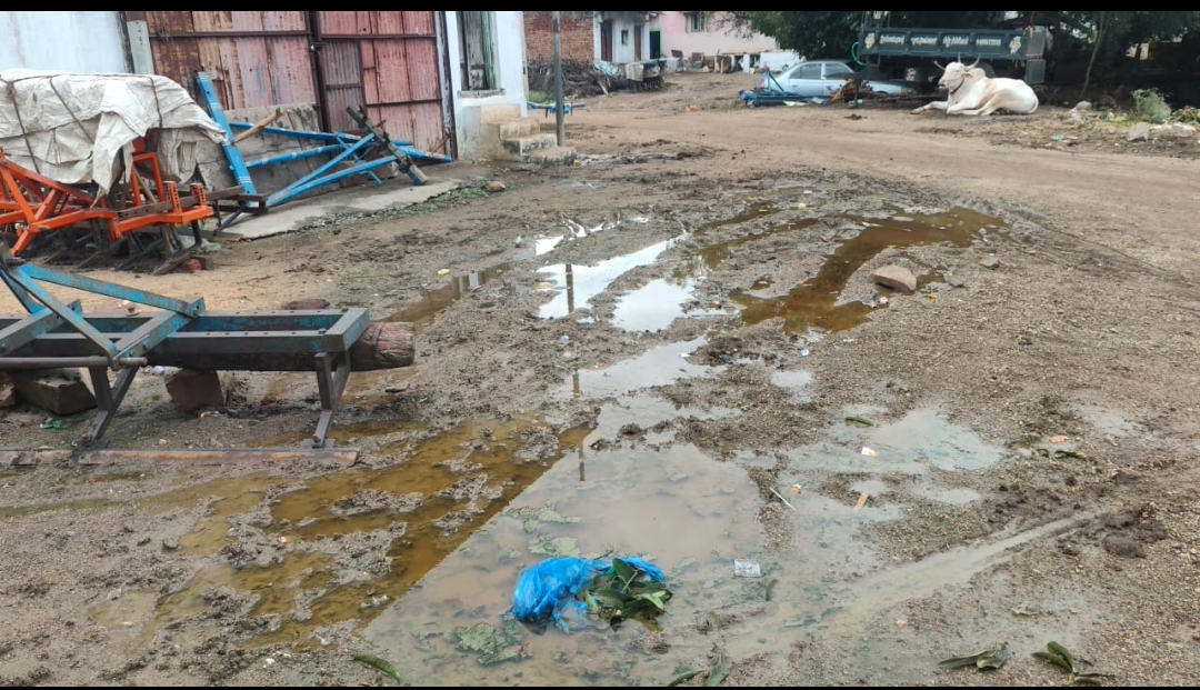 ಗ್ರಾಮದ ಜನವಸತಿ ಪ್ರದೇಶದಲ್ಲಿ ನಿಂತಿರುವ ಕೊಳಚೆ ನೀರು
