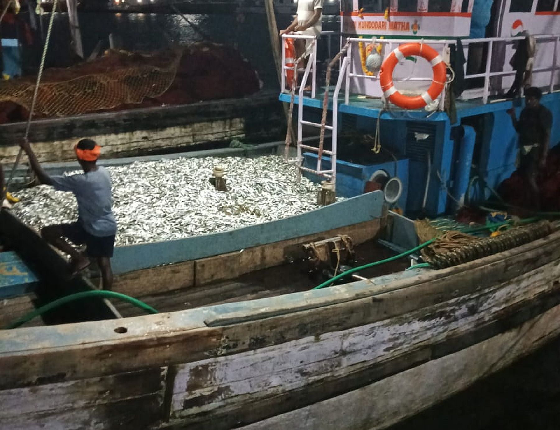 ಕಾರವಾರದ ಬೈತಕೋಲ ಮೀನುಗಾರಿಕೆ ಬಂದರಿಗೆ ಮಂಗಳವಾರ ತಲುಪಿದ ಪರ್ಸಿನ್ ಬೋಟ್‌ನಲ್ಲಿ ತಾರ್ಲೆ ಮೀನಿನ ರಾಶಿ.
