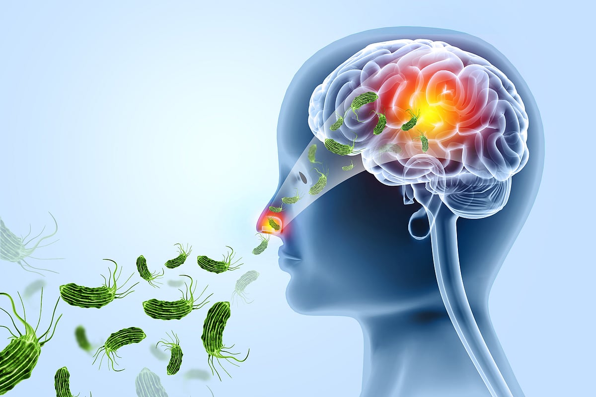 ಕೇರಳ: ಮಿದುಳು ತಿನ್ನುವ ಅಮೀಬಾ ಸೋಂಕಿಗೆ 5 ದಿನದಲ್ಲಿ 4 ಮಂದಿ ಸಾವು 